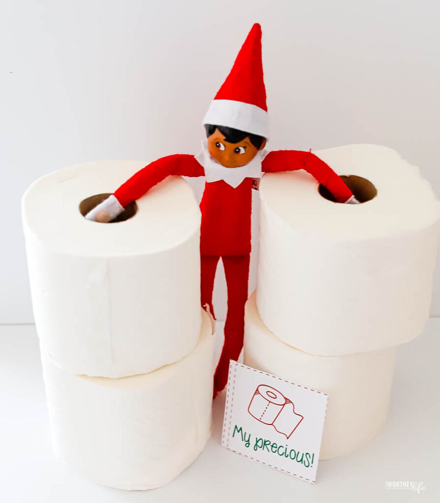 Elfie with rolls of tissue