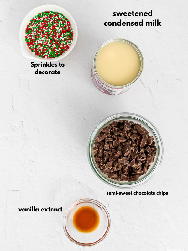 ingredients for chocolate fudge