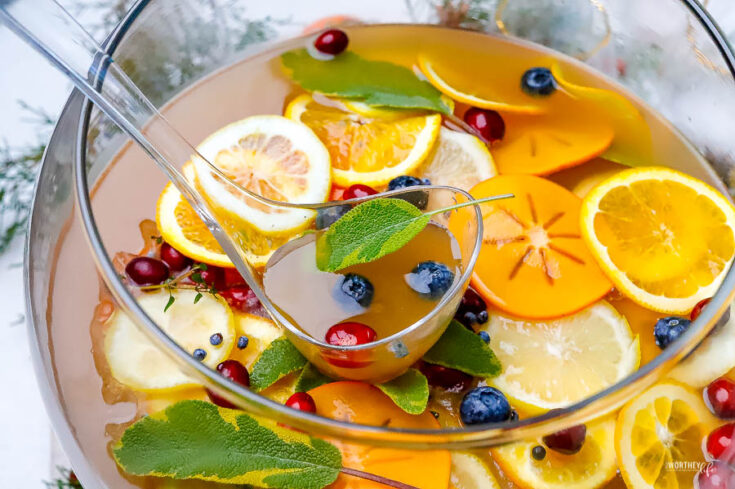 holiday mocktail punch
