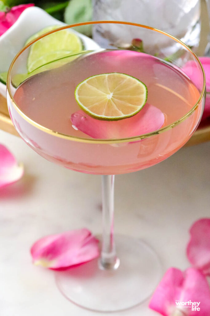 a slender delicate glass filled with a pink vodka mixed drink