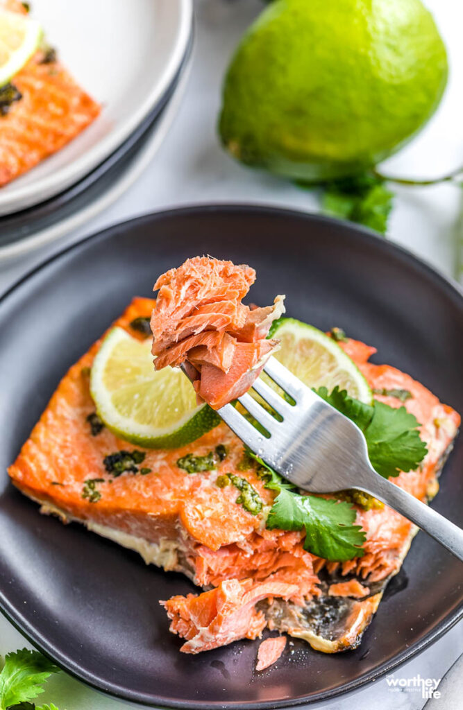 air fryer salmon recipe