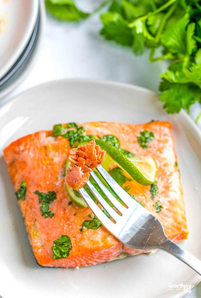 frozen salmon cooked in air fryer