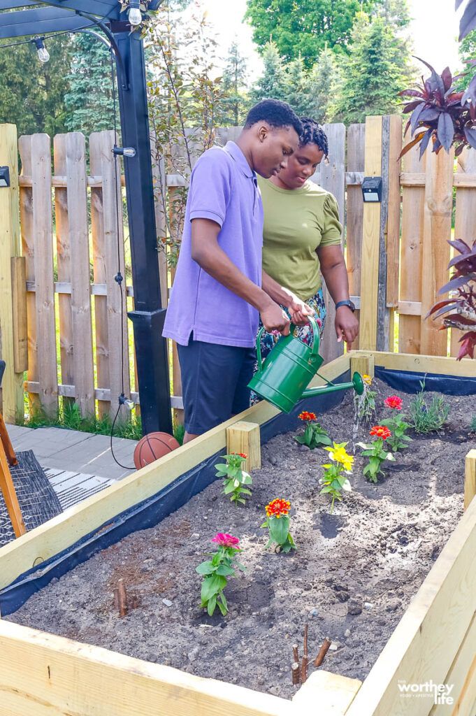 watering the garden