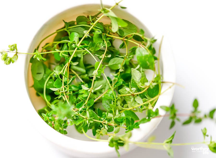 fresh herbs in a white bowl