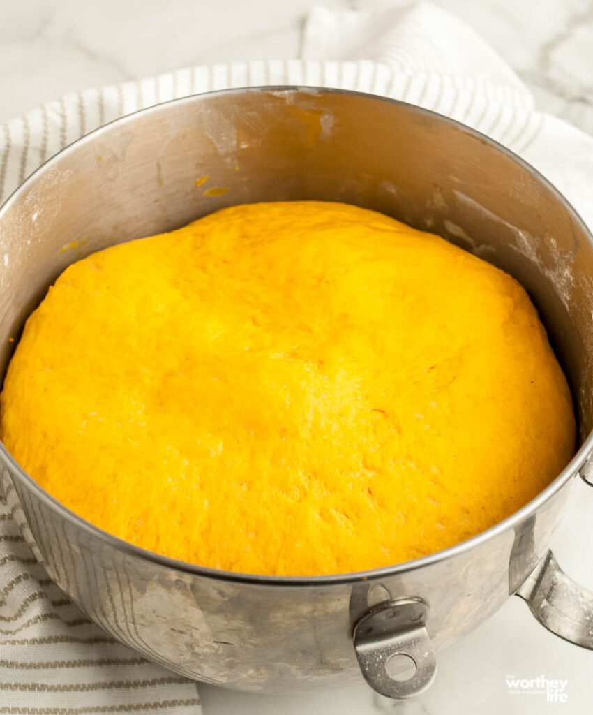 bread dough rising in a bowl