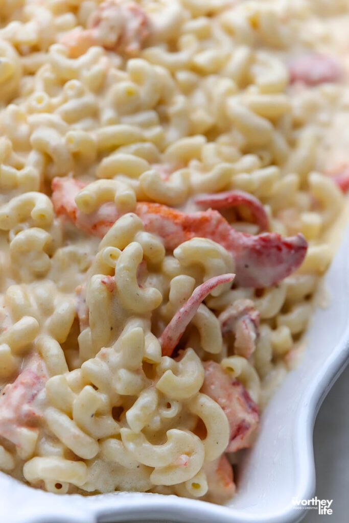 creamy noodles in a casserole dish