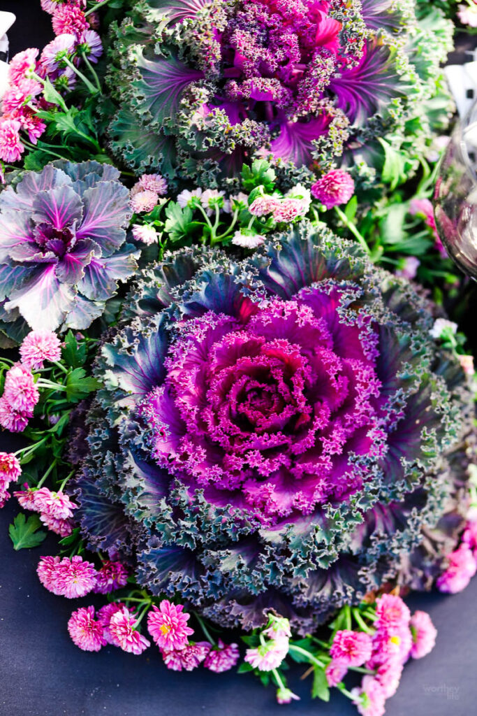 Using purple cabbage for decoration