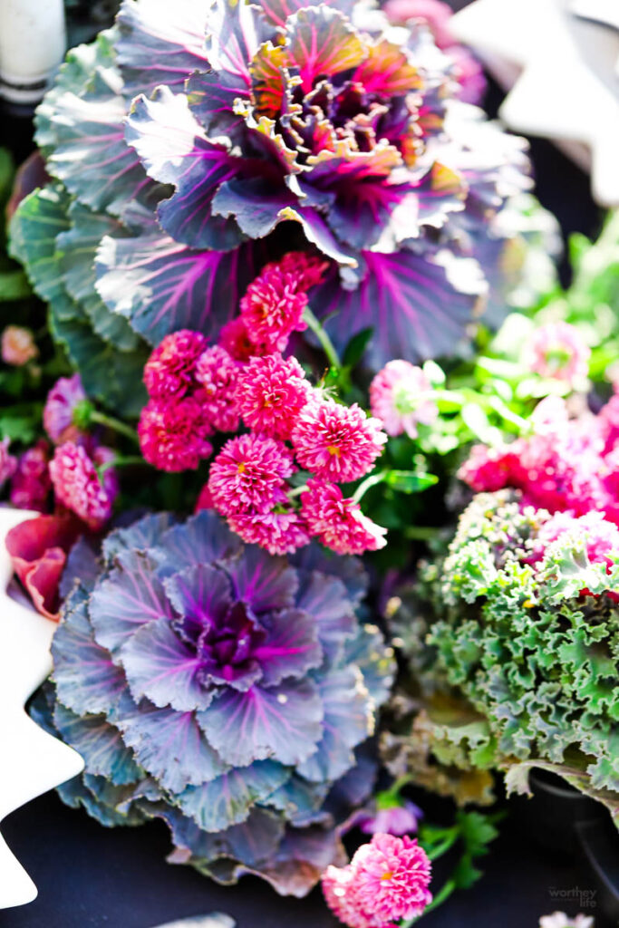 purple mums and purple kale