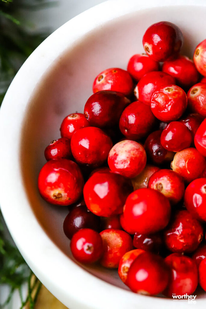 fresh cranberries in white bowl