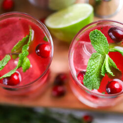 cranberry moscow mule