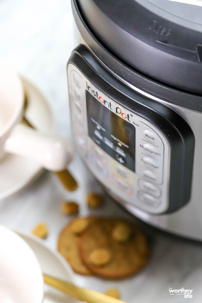 instant pot gift idea