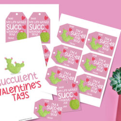 Succulent Free Printable Valentine's Tags