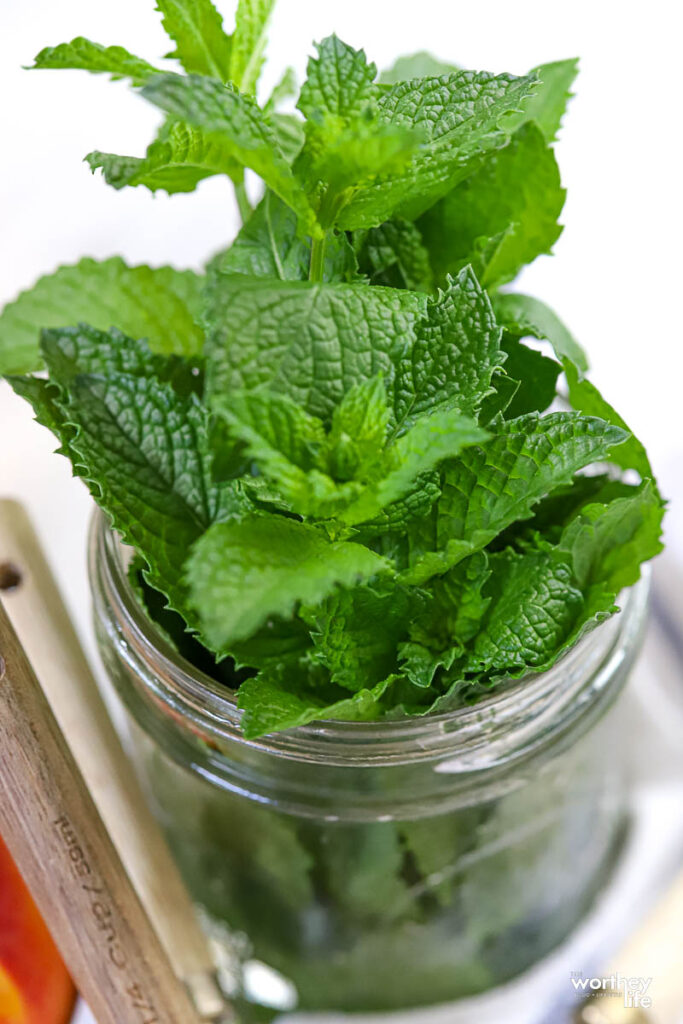 fresh mint in a mason jar and water