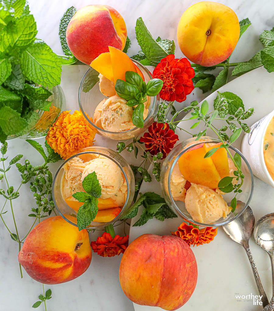 How to make a Peach Sorbet