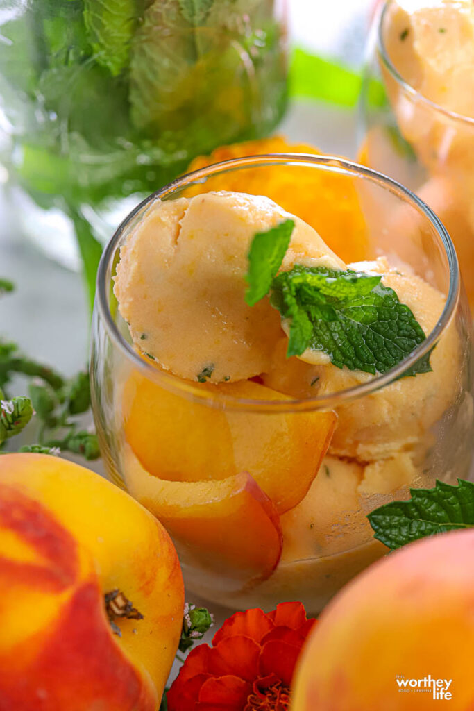 serving glass filled with peach sorbet