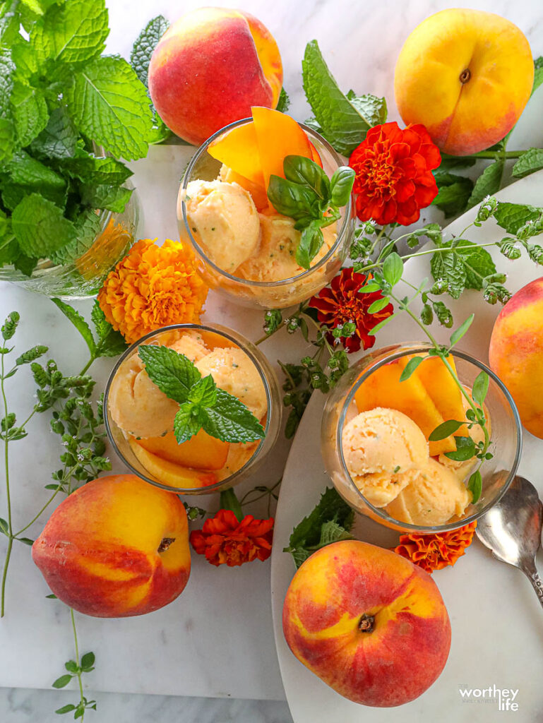 Peach recipe for sorbet