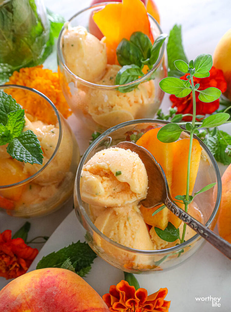 fresh mint and peach sorbet in a glass 