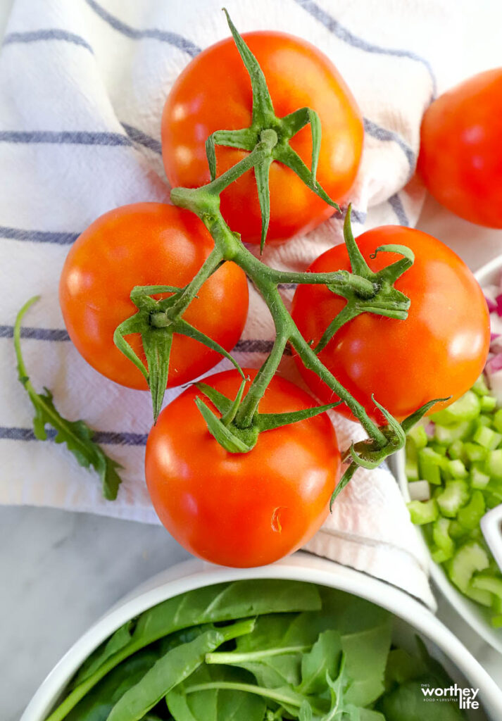 Fresh Tomatoes on a vine