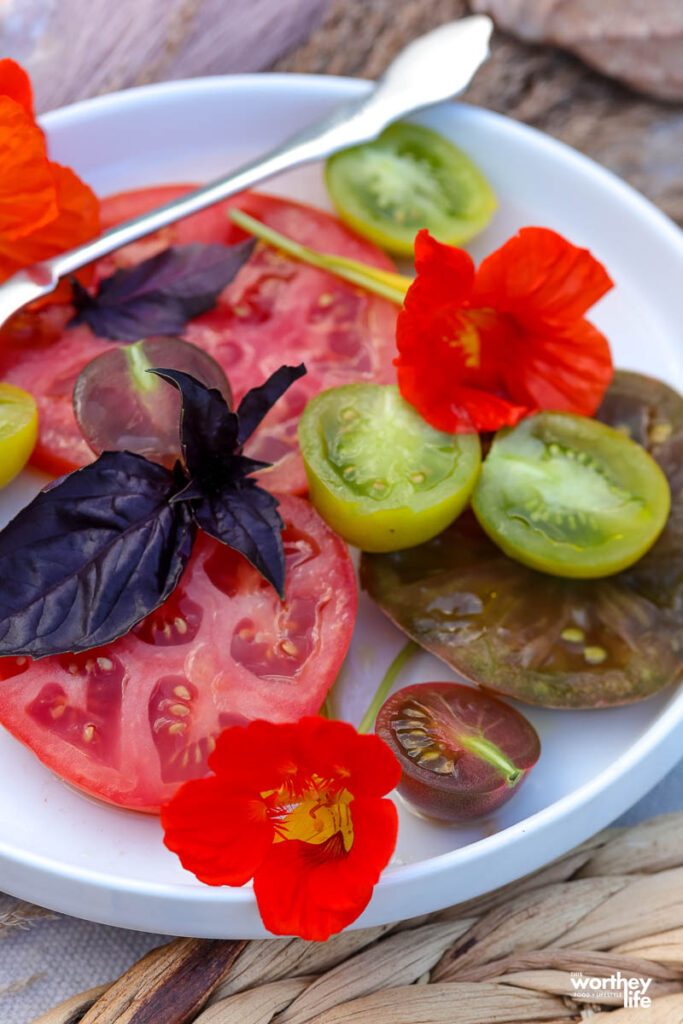 A white serving plate with fresh garden vegetables. 