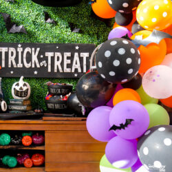 hocus pocus party idea