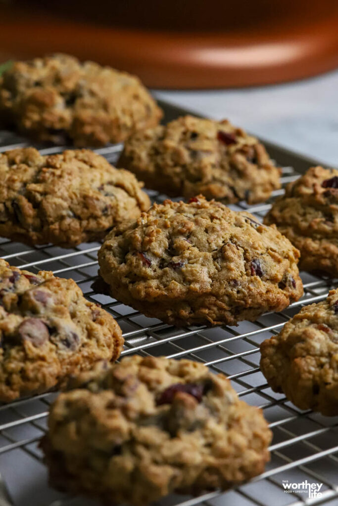 Cranberry & Chocolate Chunk Oatmeal Cookies