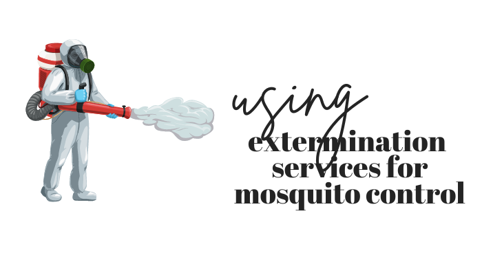using extermination services for mosquito control