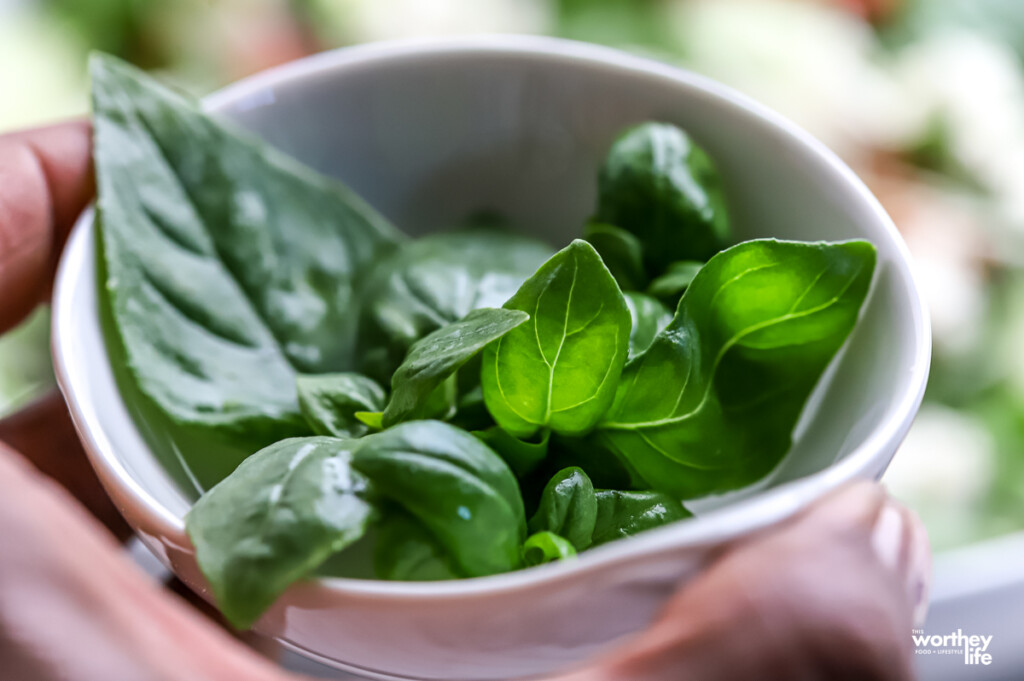 A small white bowl of sweet basil from the garden.