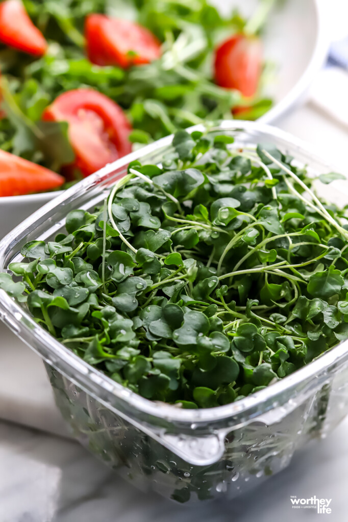 A container of fresh Urban Eden organic broccoli micro greens.