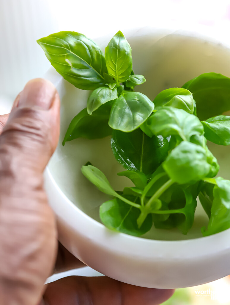 A small white marble bowl filled with fresh sweet basil. 
