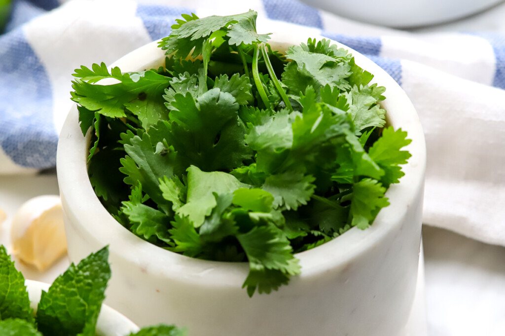 A marble measuring cup filled with fresh cilantro. 