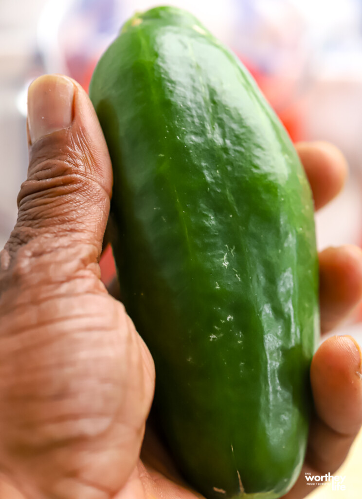  A hand holding a freshly harvested Persian cucumber.