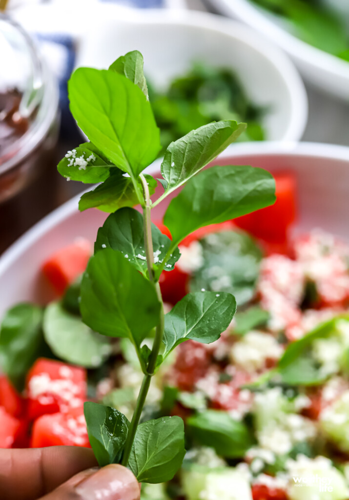 A spring of fresh lemon basil. 