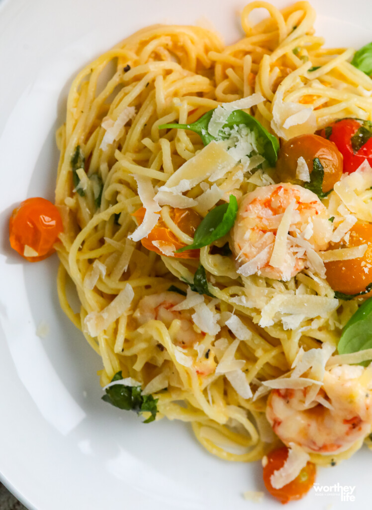 Our Tomato & Shrimp Alfredo on a white dinner plate. 