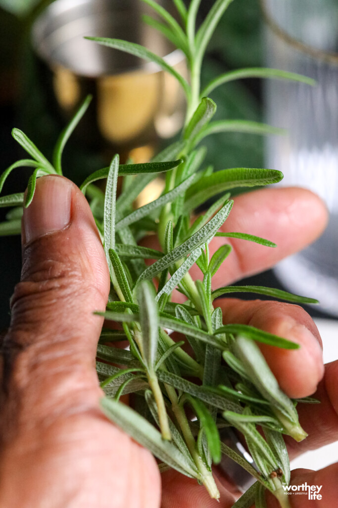 man's hand holding fresh rosemary