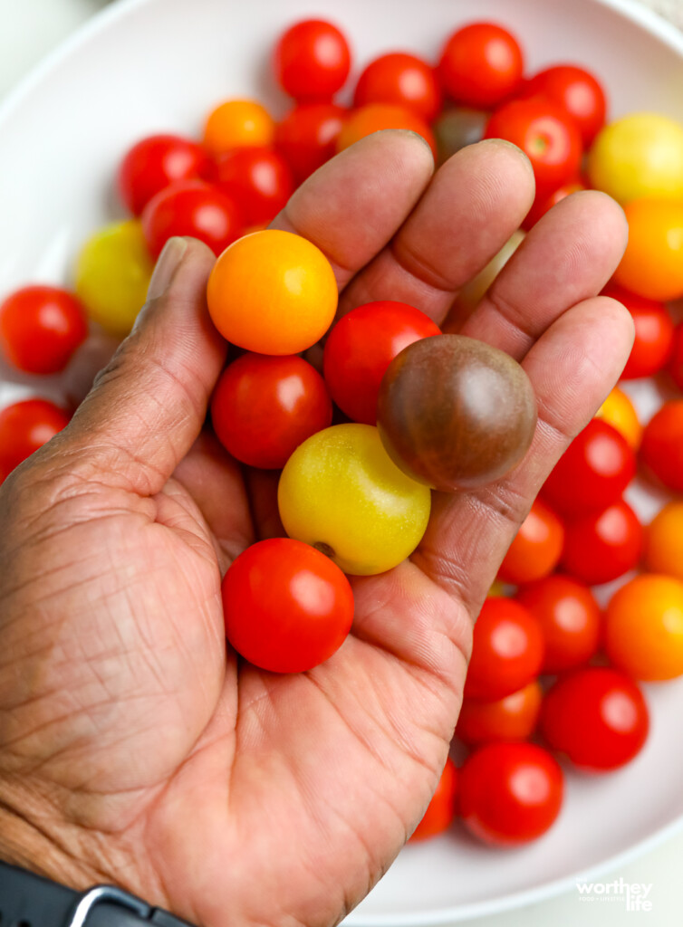 A large bowl with tomatoes and a hand filled several cherry tomatoes.