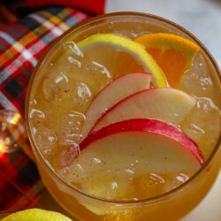 Alcohol-Free Apple Pie Sangria