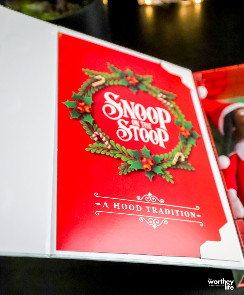 Snoop on the stoop box with holiday colors and wreath