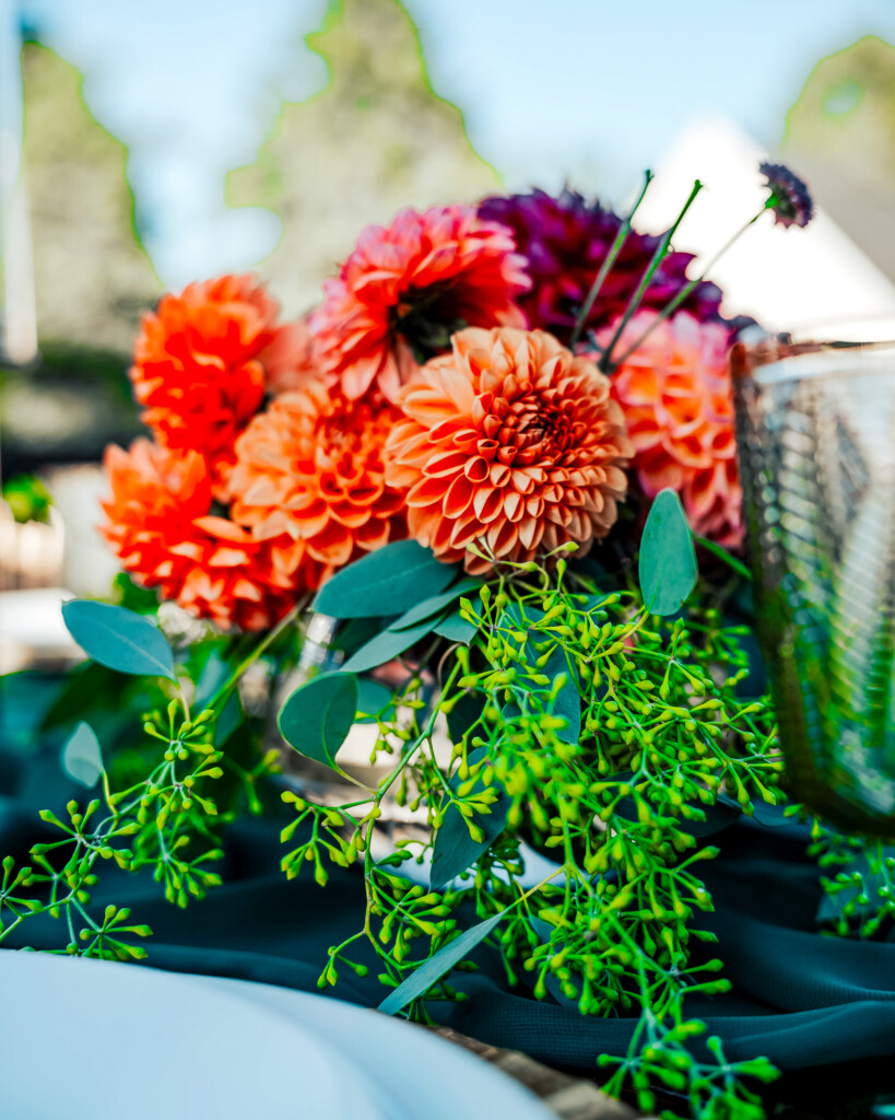 gorgeous dahlia flowers in an arrangement